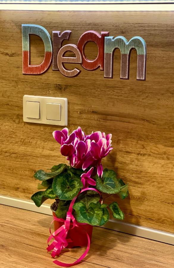 Pirin Dream View Apartments 拉兹洛格 外观 照片
