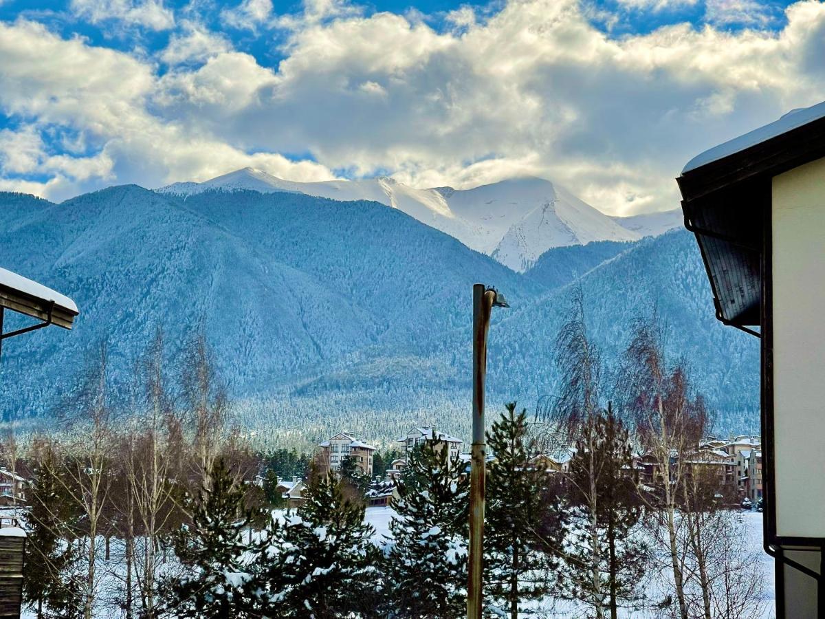 Pirin Dream View Apartments 拉兹洛格 外观 照片