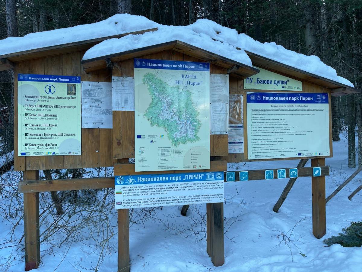 Pirin Dream View Apartments 拉兹洛格 外观 照片