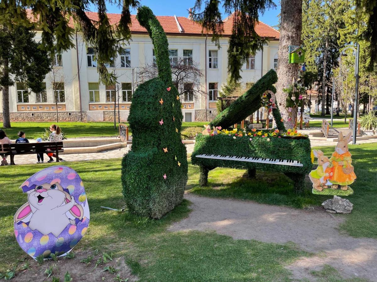 Pirin Dream View Apartments 拉兹洛格 外观 照片
