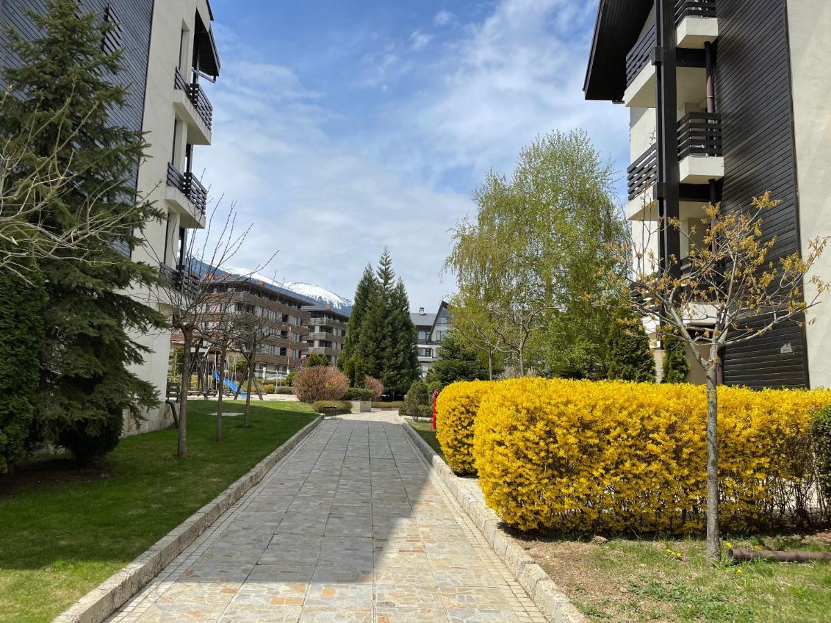 Pirin Dream View Apartments 拉兹洛格 外观 照片