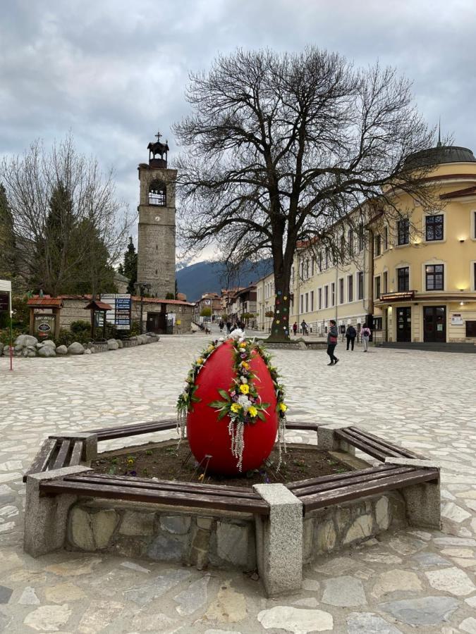 Pirin Dream View Apartments 拉兹洛格 外观 照片