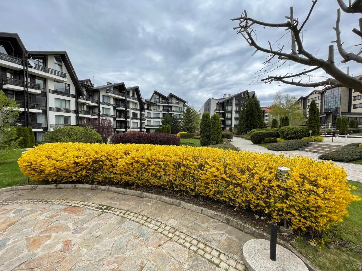 Pirin Dream View Apartments 拉兹洛格 外观 照片